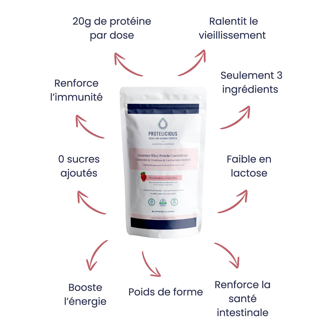 Concentrés de Protéines de Lactosérum - Fraises Délices Gourmet | 1kg