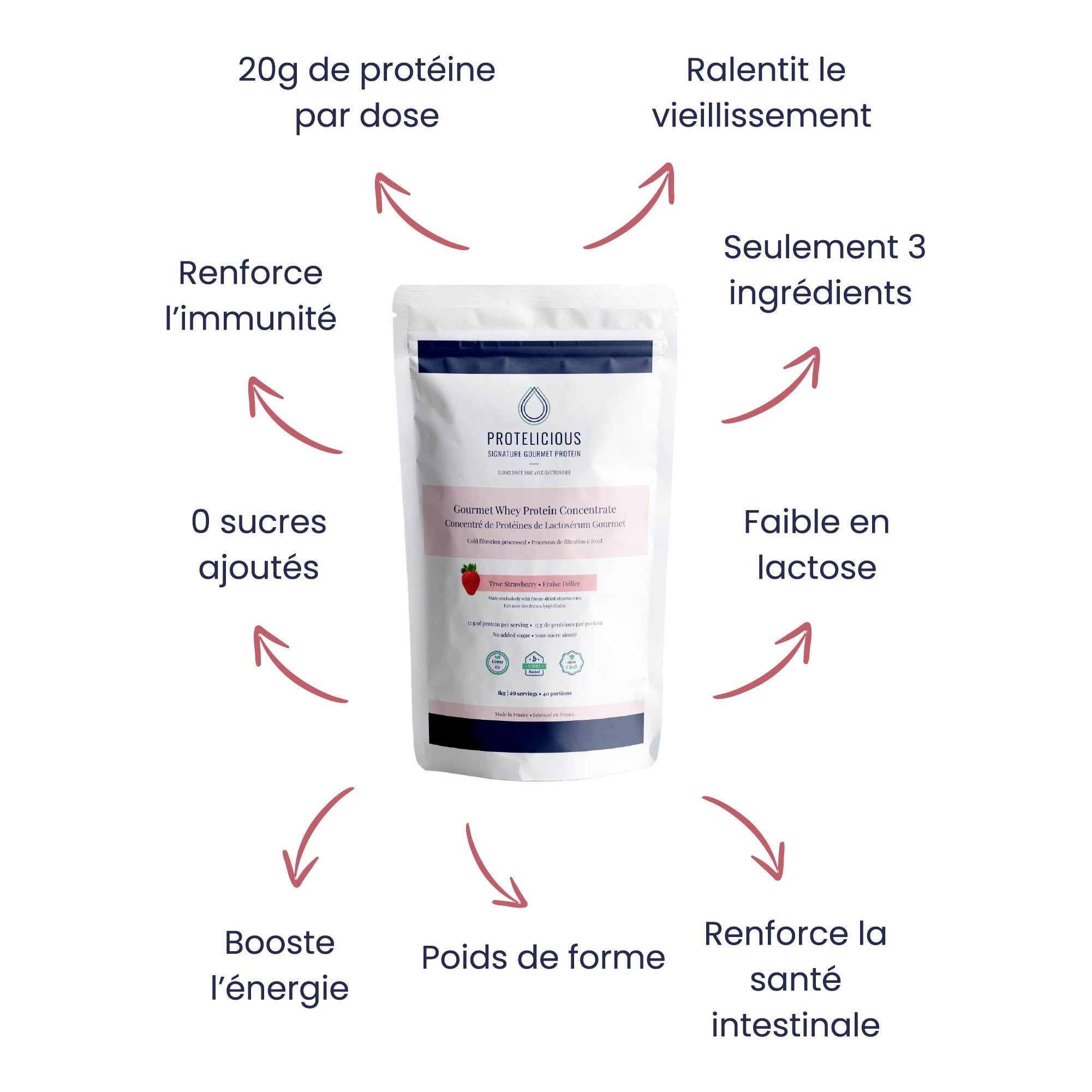 Concentrés de Protéines de Lactosérum- Fraises Delices Gourmet | 500g